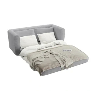 Lido 2-Seater Sofa Cum Bed img 2